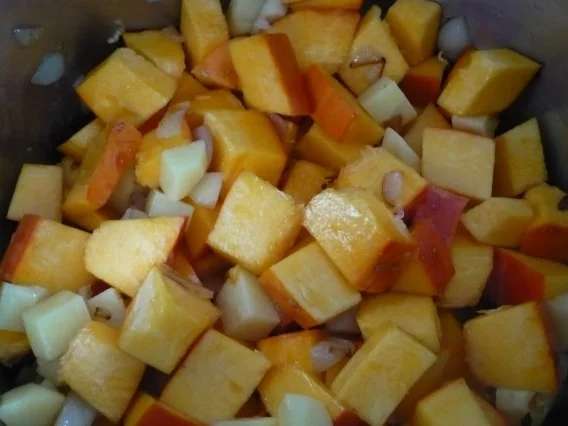 Kürbis - Orangensuppe mit Zwiebel - Topping - Rezept - Bild Nr. 4