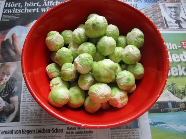 Rezept: Auflauf: von Rosenkohl und Süßkartoffel Bild Nr. 3 Auflauf: von Rosenkohl und Süßkartoffel - Rezept - Bild Nr. 3