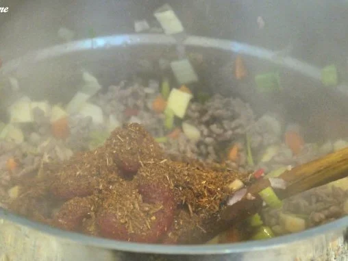 Rezept: Orientalischer Hackfleischtopf Bild Nr. 15 Orientalischer Hackfleischtopf - Rezept - Bild Nr. 15