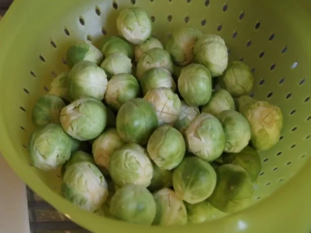 Kassler-Kotelett mit Rosenkohl, Röstzwiebeln und Möhren-Kartoffelstampf - Rezept - Bild Nr. 5