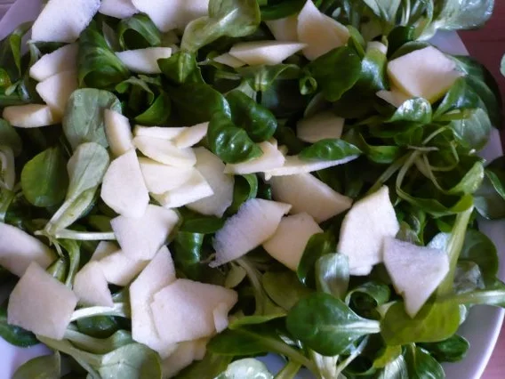 Feldsalat " Bornholmer Art " - Rezept - Bild Nr. 5