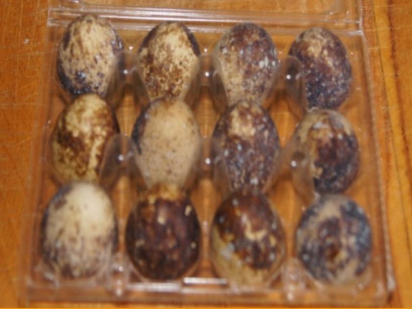 Sülze mit Kassler-Kotelett, Wachteleiern und Gemüse - Rezept - kochbar.de