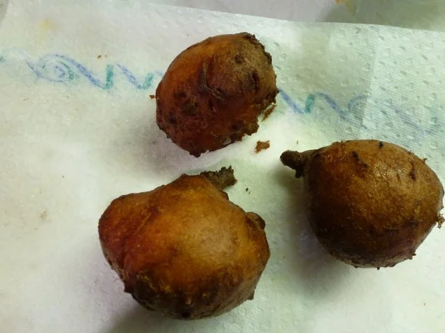 Rezept: Quarkbällchen Bild Nr. 8 Quarkbällchen - Rezept - Bild Nr. 8