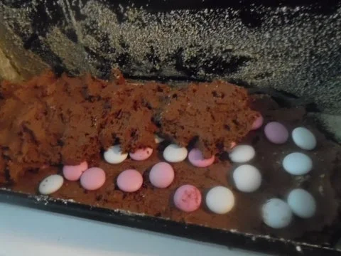 Schokoladeneis-Kuchen - Rezept - Bild Nr. 4