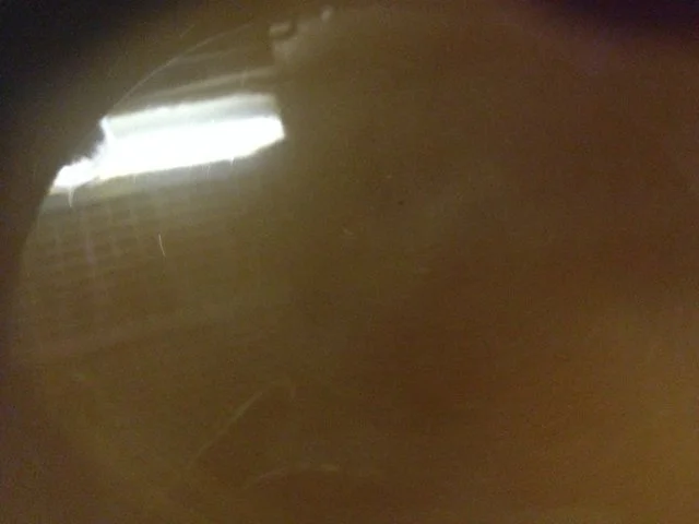 Ochsenschwanzsuppe mit Marsala, gebunden - Rezept - Bild Nr. 15