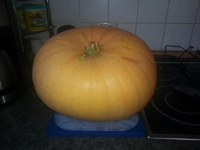 Kürbis-Karottenquiche - Rezept - Bild Nr. 3