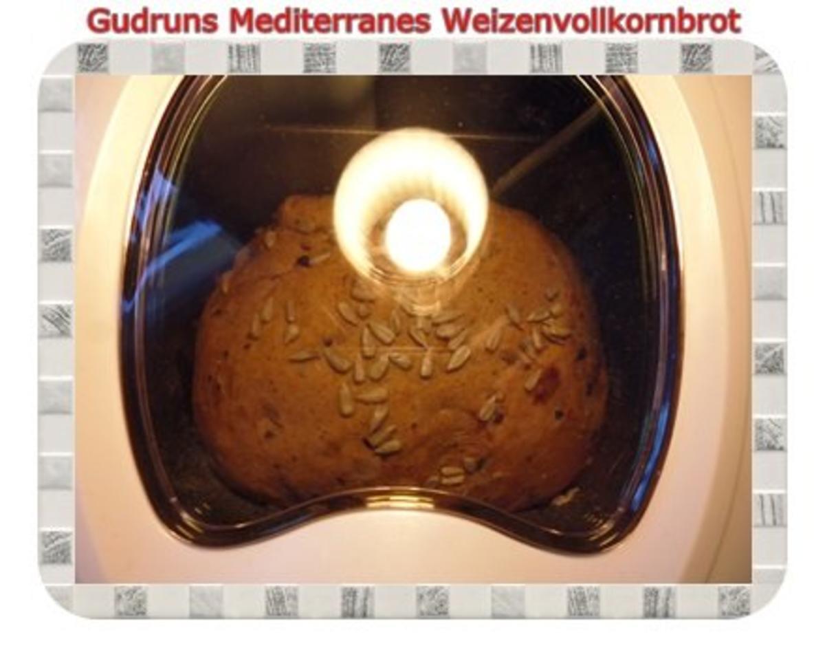 Brot: Mediterrranes Weizenvollkornbrot - Rezept - Bild Nr. 12