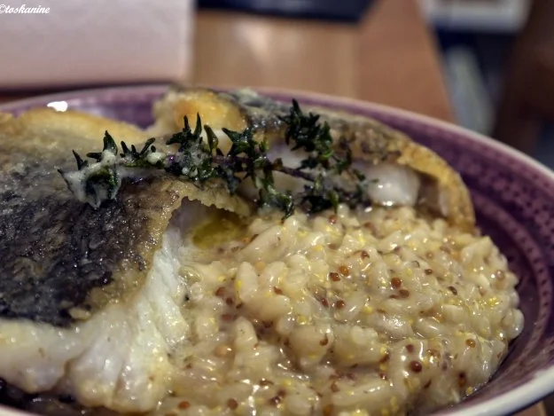 Skreifilet auf Senfrisotto - Rezept