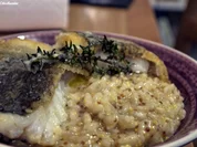 Skreifilet auf Senfrisotto - Rezept