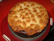 Heidelbeer - Quark - Kuchen mit Streusel - Rezept