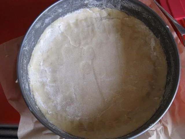 Rezept: Heidelbeer - Quark - Kuchen mit Streusel Bild Nr. 12 Heidelbeer - Quark - Kuchen mit Streusel - Rezept - Bild Nr. 12