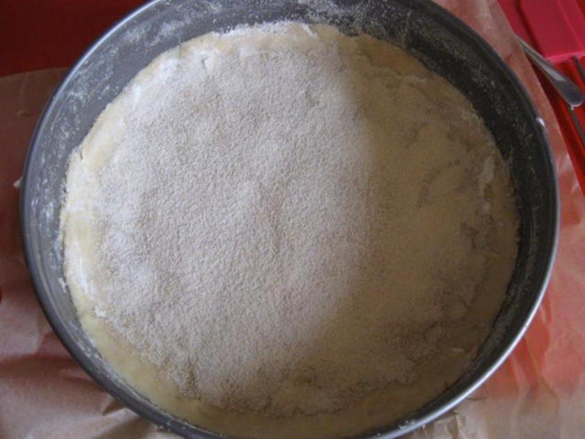 Heidelbeer Quark Kuchen mit Streusel - einfach - von manschie