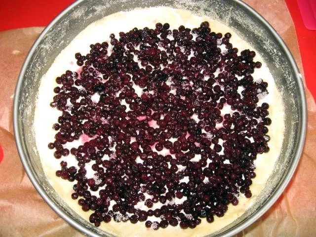 Rezept: Heidelbeer - Quark - Kuchen mit Streusel Bild Nr. 14 Heidelbeer - Quark - Kuchen mit Streusel - Rezept - Bild Nr. 14