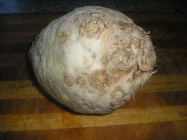 Rezept: Selleriecremesüppchen Bild Nr. 2 Selleriecremesüppchen - Rezept - Bild Nr. 2