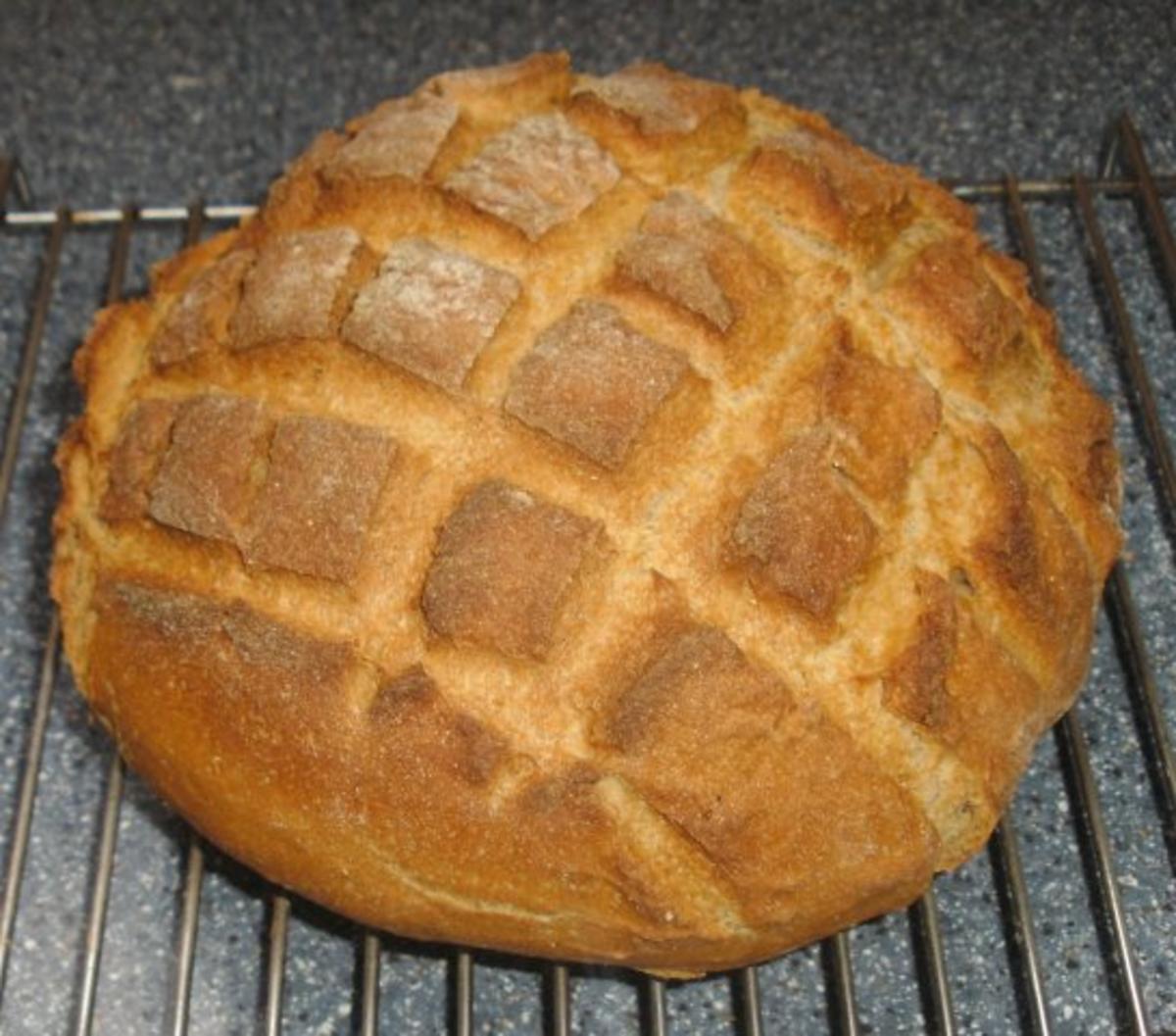 Krustenbrot ergibt ein Brot von 750 gr. - Rezept mit Bild - kochbar.de