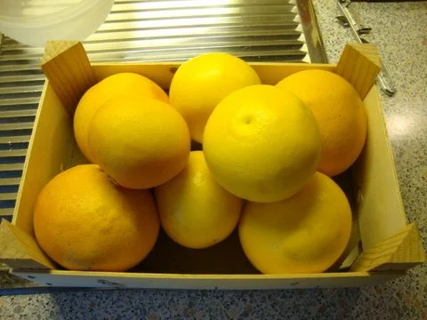 Marmelade aus Citrusfrüchten - Rezept