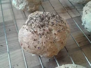 Dinkel-Weizen-Brötchen mit Vollkorn und Körnern - Rezept