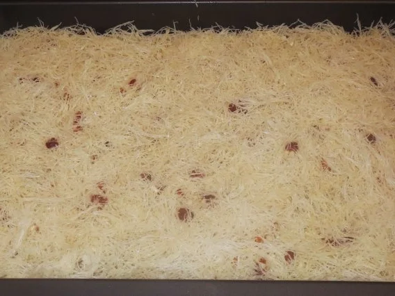 Rezept: Backen: Kadayif mit Aprikosen und Mandeln Bild Nr. 4 Backen: Kadayif mit Aprikosen und Mandeln - Rezept - Bild Nr. 4