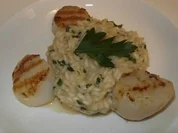 Rezept: Jacobsmuscheln an Zitronen-Risotto Jacobsmuscheln an Zitronen-Risotto - Rezept