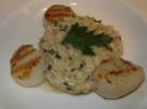 Jacobsmuscheln an Zitronen-Risotto - Rezept