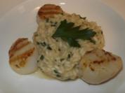 Jacobsmuscheln an Zitronen-Risotto - Rezept