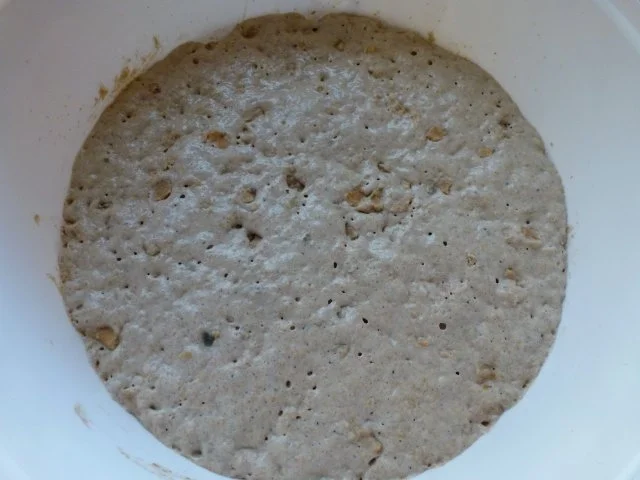 Rezept: Roggen-Dinkel-Mohnbrötchen Bild Nr. 7 Roggen-Dinkel-Mohnbrötchen - Rezept - Bild Nr. 7