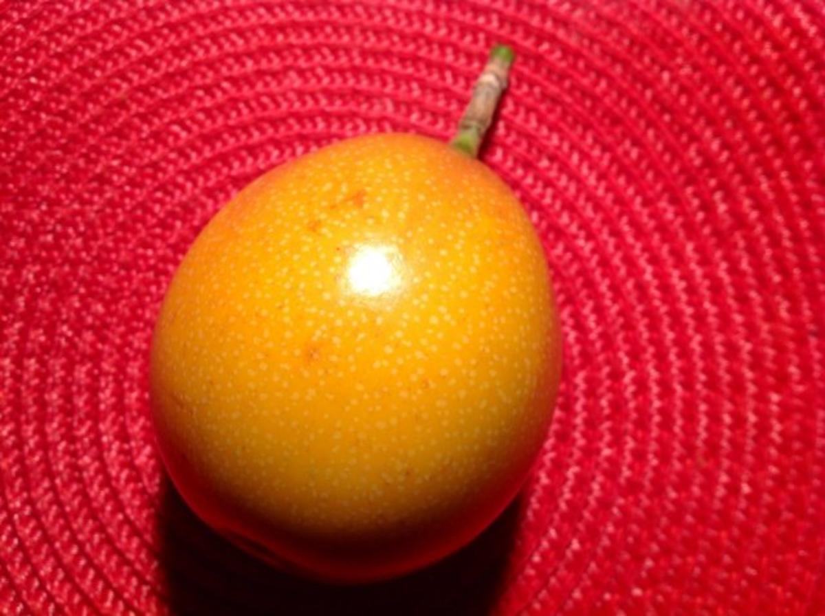 gegrillter Obstteller mit einem Orangen-Passionsfrucht-Dip - Rezept - Bild Nr. 4
