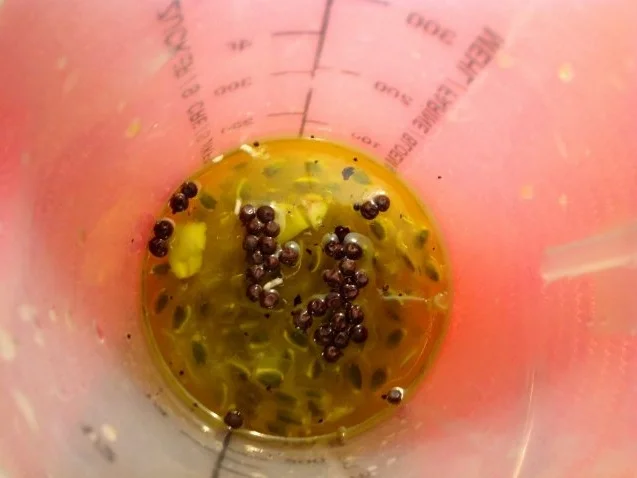 Rezept: gegrillter Obstteller mit einem Orangen-Passionsfrucht-Dip Bild Nr. 6 gegrillter Obstteller mit einem Orangen-Passionsfrucht-Dip - Rezept - Bild Nr. 6