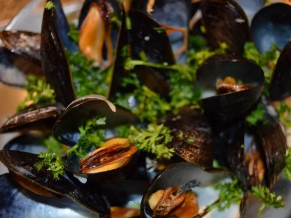 Rezept: Moules marinières Bild Nr. 4 Moules marinières - Rezept - Bild Nr. 4