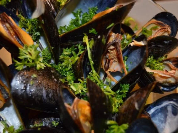 Rezept: Moules marinières Bild Nr. 2 Moules marinières - Rezept - Bild Nr. 2