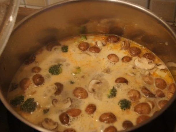 Curry-Suppe mit Hähnchenbrustfilet und Gemüse - Rezept - Bild Nr. 14