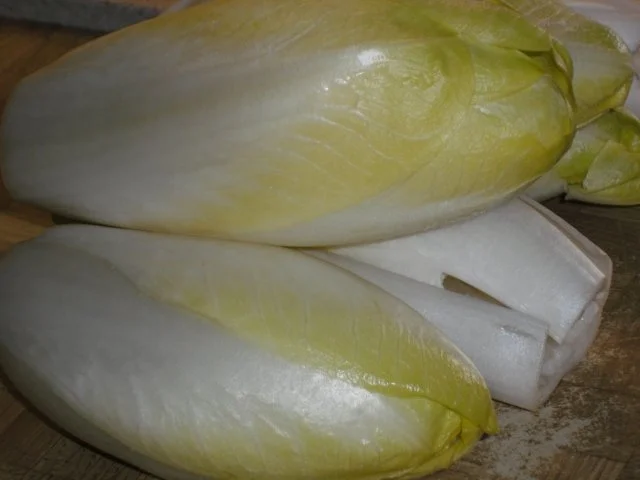 Chicoree überbacken mit Schinken und Käse - Rezept - Bild Nr. 3