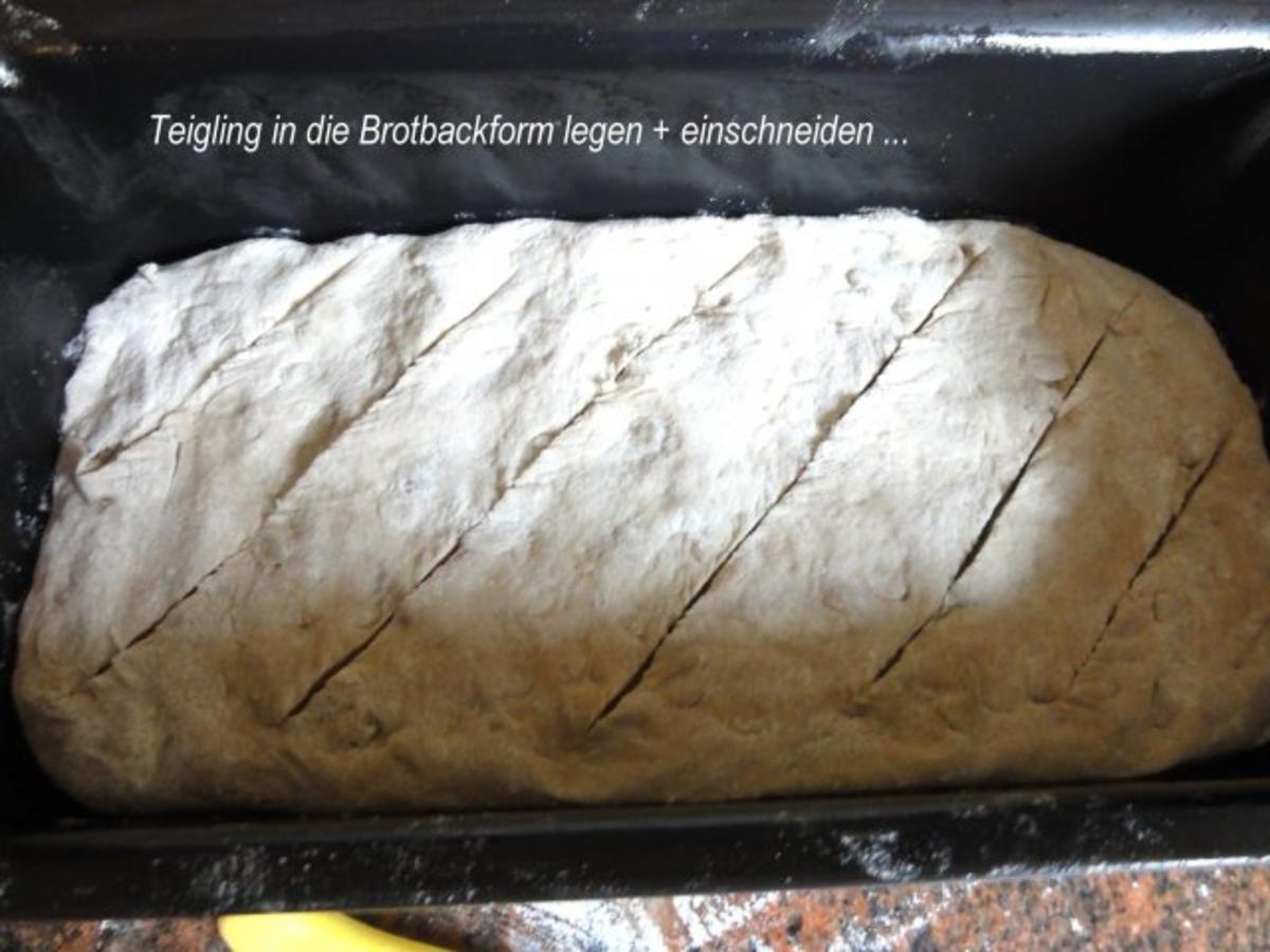 Brot:   SONNENBLUMEN - MISCHBROT - Rezept - Bild Nr. 6