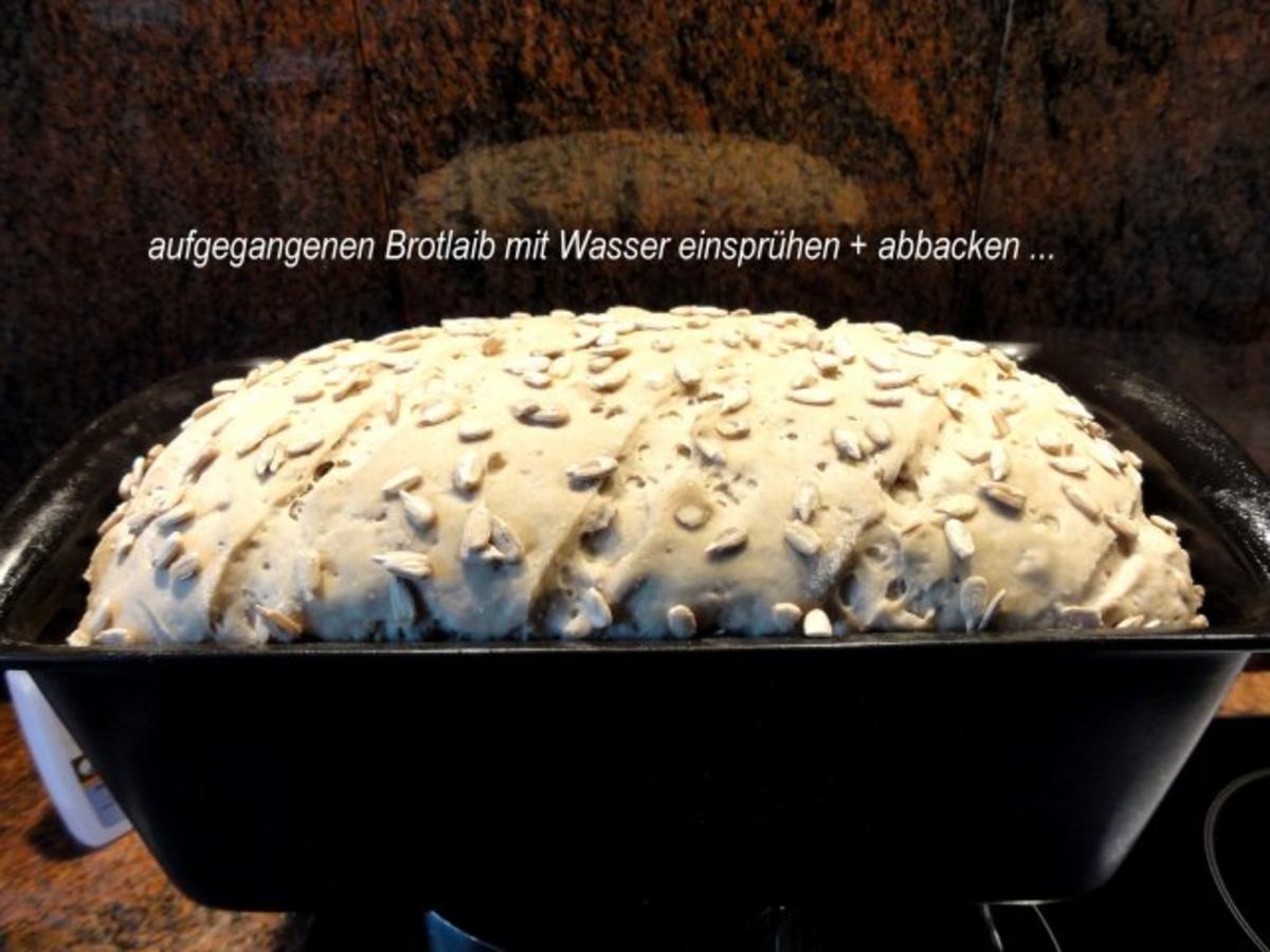 Brot: SONNENBLUMEN - MISCHBROT - Rezept - kochbar.de