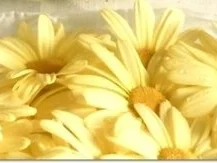 “Wurst-Blume“  auf  Cheddar-Käse-Sandwich - Rezept - Bild Nr. 5