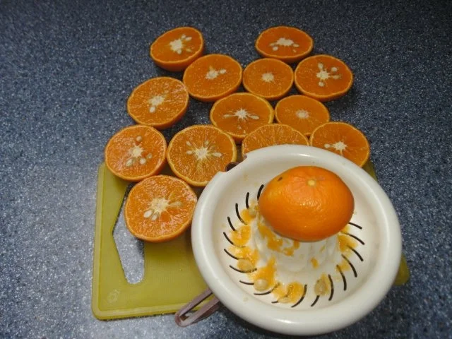 Rezept: Clementinensorbet Bild Nr. 2 Clementinensorbet - Rezept - Bild Nr. 2