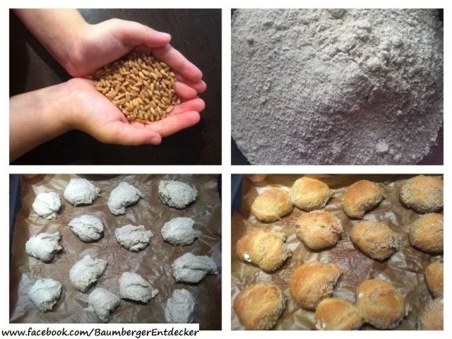 Brötchen - Rezept - Bild Nr. 9