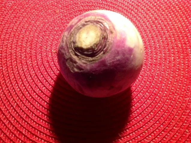 Rezept: Rübchen-Gurkensalat mit Lachs Bild Nr. 4 Rübchen-Gurkensalat mit Lachs - Rezept - Bild Nr. 4