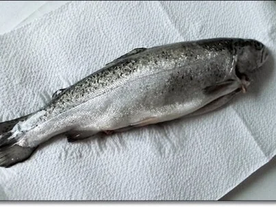 Rezept: Gebratene Forelle mit Kräutern gefüllt auf Spinat-Feta-Bett Bild Nr. 16 Gebratene Forelle mit Kräutern gefüllt auf Spinat-Feta-Bett - Rezept - Bild Nr. 16