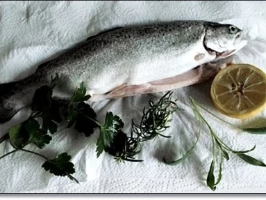 Rezept: Gebratene Forelle mit Kräutern gefüllt auf Spinat-Feta-Bett Bild Nr. 17 Gebratene Forelle mit Kräutern gefüllt auf Spinat-Feta-Bett - Rezept - Bild Nr. 17