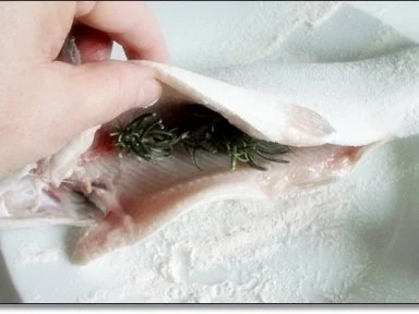 Rezept: Gebratene Forelle mit Kräutern gefüllt auf Spinat-Feta-Bett Bild Nr. 19 Gebratene Forelle mit Kräutern gefüllt auf Spinat-Feta-Bett - Rezept - Bild Nr. 19