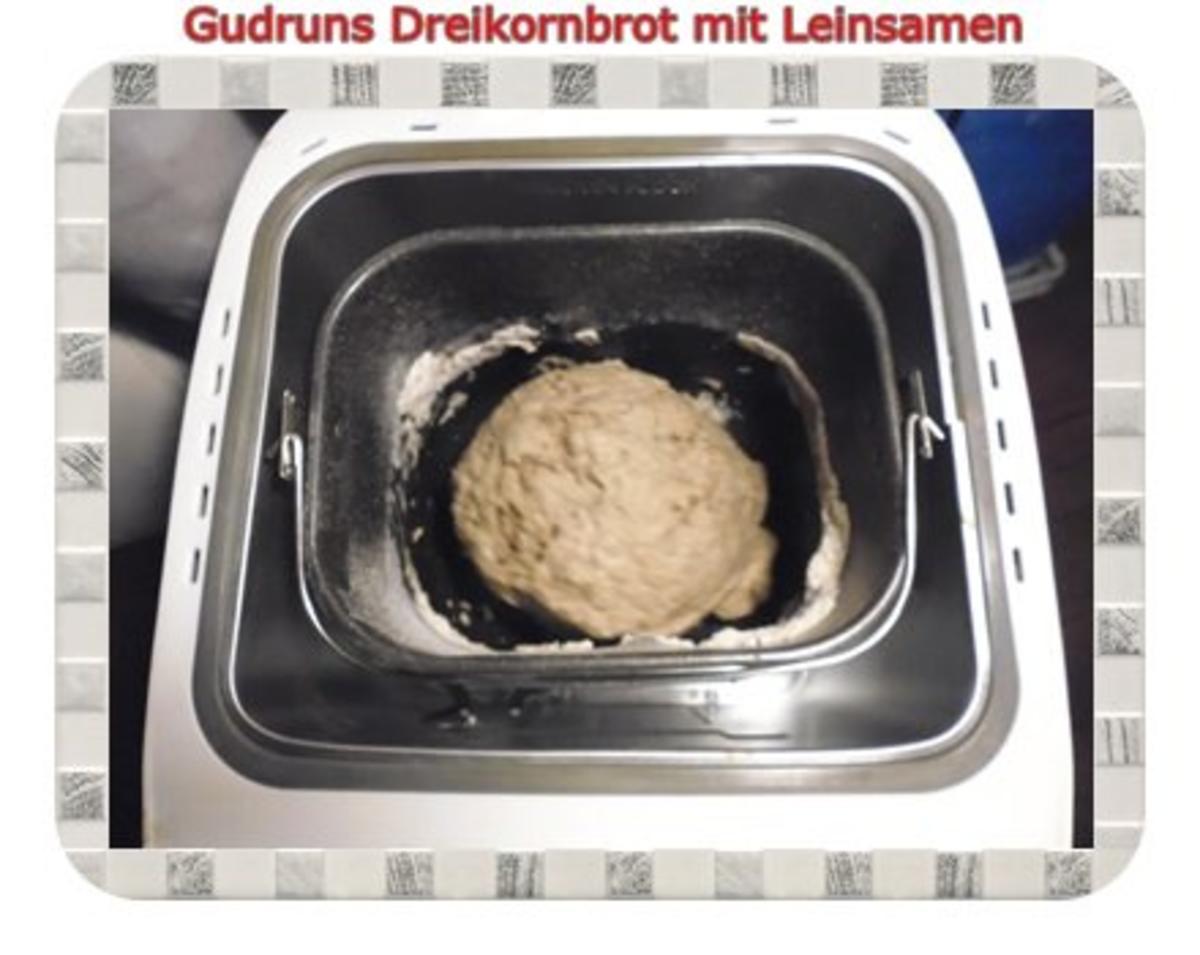 Brot: Dreikorn-Leinsamenbrot - Rezept - Bild Nr. 11