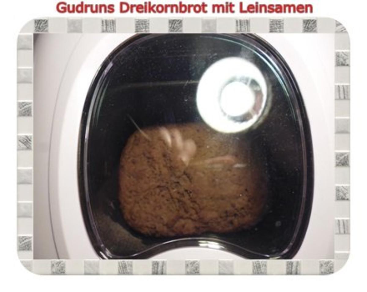 Brot: Dreikorn-Leinsamenbrot - Rezept - Bild Nr. 13