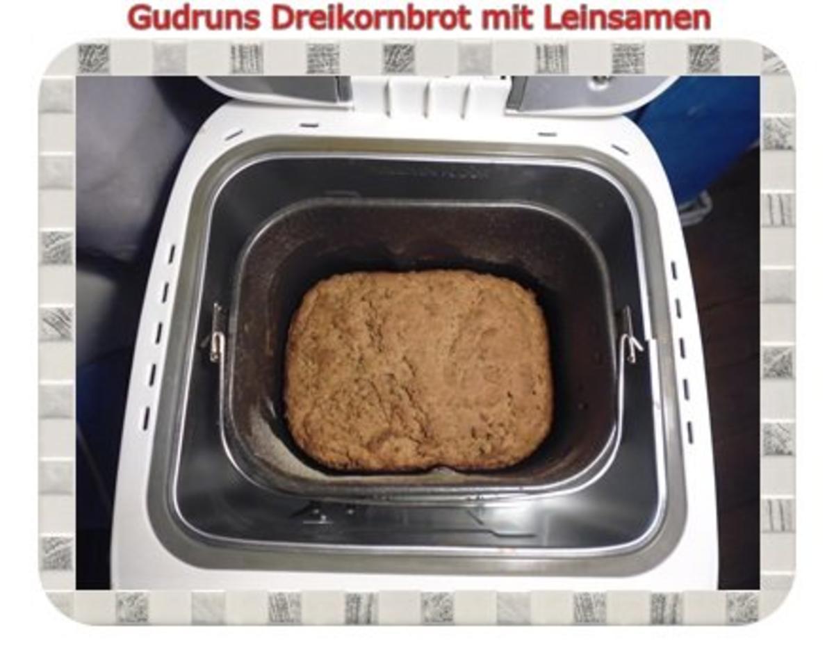 Brot: Dreikorn-Leinsamenbrot - Rezept - Bild Nr. 14