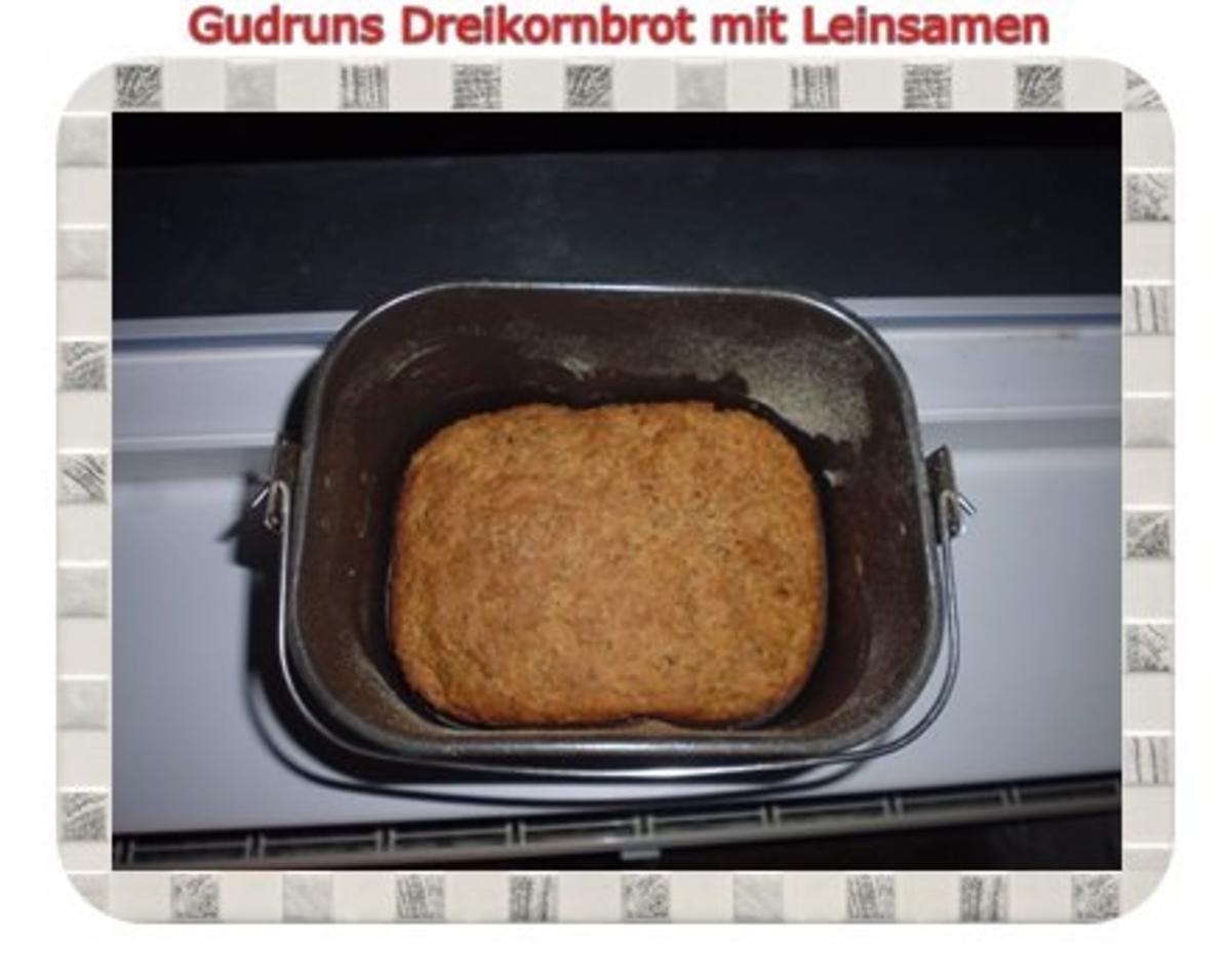 Brot: Dreikorn-Leinsamenbrot - Rezept - Bild Nr. 15