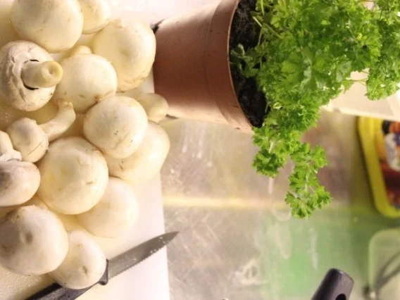 Rezept: Champignon-Cremesuppe Bild Nr. 2 Champignon-Cremesuppe - Rezept - Bild Nr. 2