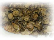 Rezept: Sisserl's ~ Waldmann - Schnitzel Sisserl's ~ Waldmann - Schnitzel - Rezept