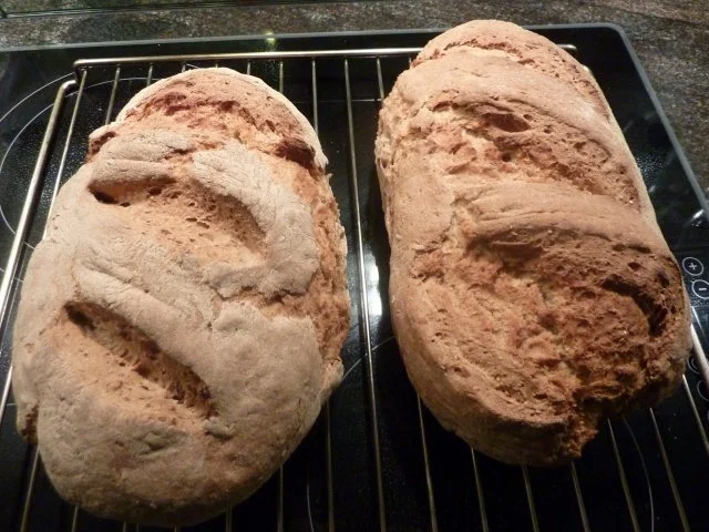 Bauernbrot mit Kernen - Rezept - Bild Nr. 2