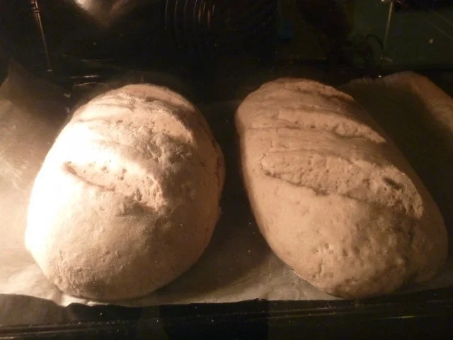 Bauernbrot mit Kernen - Rezept - Bild Nr. 8