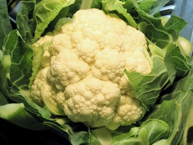 Rezept: Blumenkohl in weißer Soße Bild Nr. 2 Blumenkohl in weißer Soße - Rezept - Bild Nr. 2